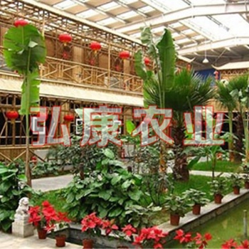 青州市弘康溫室生態餐廳