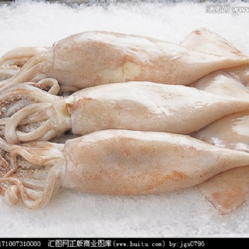海鮮進口，不得不知的**過程！報關(guān)報檢