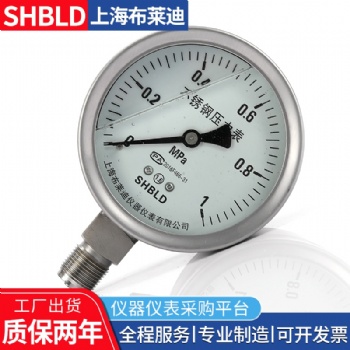 上海布萊迪Y-60 Y-602 Y-602T真空壓力表普通壓力表