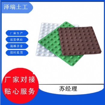 浙江寧波2公分30高車(chē)庫(kù)頂板排水板