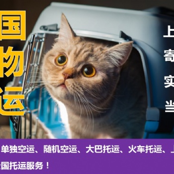 寵物單獨航空運輸、寵物汽運、寵物大巴托運、寵物專車托運、上門接送