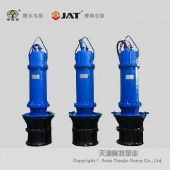 污水處理大型雨水排污泵_使用注意事項(xiàng)_安裝