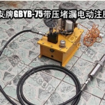 電動(dòng)注膠槍 自復(fù)位高壓注劑槍工具 帶壓堵漏工具 上海供應(yīng)
