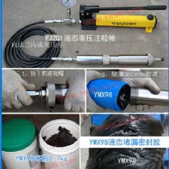 YJZQ1液態(tài)帶壓注膠槍 現(xiàn)貨供應(yīng) 高壓高強(qiáng)度 高壓堵漏工具