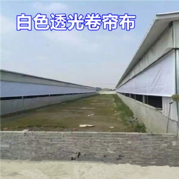 山東泰安豬舍卷簾帆布 輕便PVC帆布卷簾 透光養(yǎng)殖卷簾布