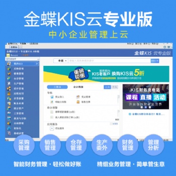 金蝶KIS云專(zhuān)業(yè)版V16.0總賬+報(bào)表財(cái)務(wù)ERP軟件