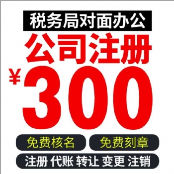 巢湖安居旁財務公司 加急代辦注冊公司 代賬專業(yè)細致