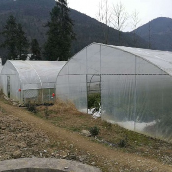 中國(guó)河北滄州新華區(qū)溫室大棚配件卷膜器