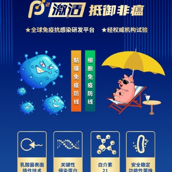 P2激活，全面激活抵御非瘟病毒的黏膜免疫和細胞免疫防線！