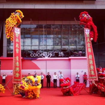 廣西防城港振興醒獅隊(duì)