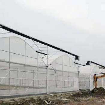 連棟溫室 連棟溫室大棚廠家 薄膜智能連棟溫室大棚