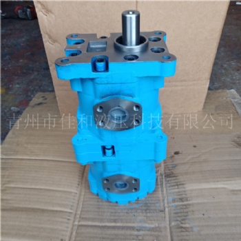 掘進機配套齒輪泵 CBY3050/K1010-A2FR雙聯(lián)齒輪泵