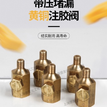 防爆型帶壓堵漏注膠閥M12注射閥考克注膠槍帶壓堵漏廠家