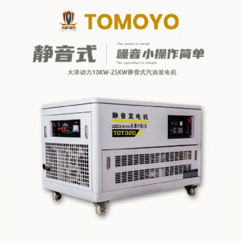 大澤動(dòng)力20千瓦汽油發(fā)電機(jī)
