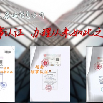 萊索托大使館簽章資產(chǎn)負(fù)債表>董事會(huì)議周年申報(bào)表