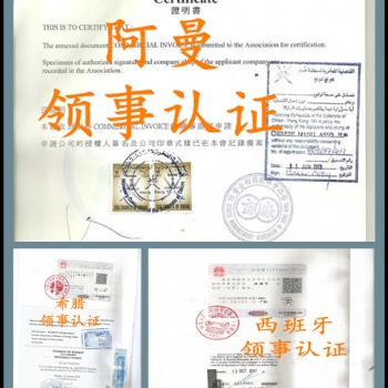 美國董事會議|公司損益表|資產負債表領館認證