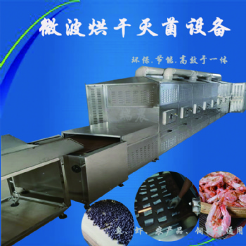 對蝦微波低溫柔性烘干烘烤設備 帶式干燥機