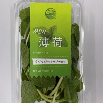 薄荷葉嫩頭新鮮可食用泡水調(diào)酒香料西餐擺盤裝飾批發(fā)銷售餐飲門店西餐廳酒店供應(yīng)超市直供全國物流冷鏈保鮮