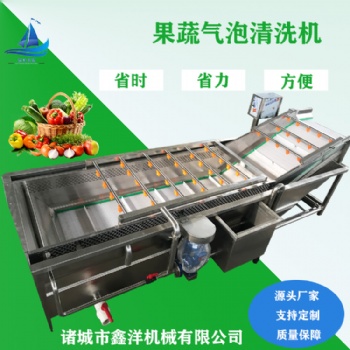 氣泡渦流蔬菜清洗機(jī) 番茄旋渦自動果蔬清洗設(shè)備