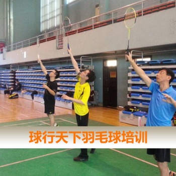 球形天下北京羽毛球培訓(xùn)