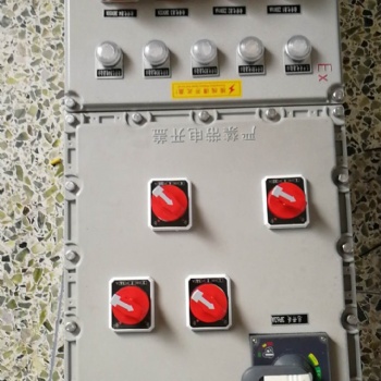 供應(yīng)BXMD粉塵防爆配電箱