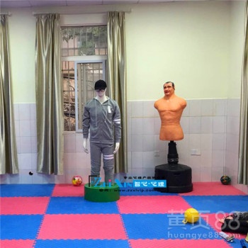 河南地區(qū)心理設(shè)備廠家現(xiàn)貨批發(fā)、心理咨詢室常用設(shè)備有哪些