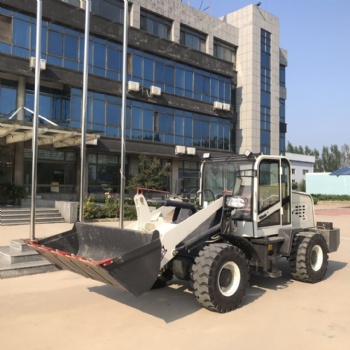 綏化工地農(nóng)用矮棚裝載機(jī)鏟車地下室用小型裝載機(jī)養(yǎng)殖場(chǎng)鏟糞矮棚裝載機(jī)
