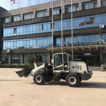 蘭西矮棚裝卸鏟車地下室養(yǎng)殖場(chǎng)用矮體小鏟車建筑工地用矮腳虎裝載機(jī)