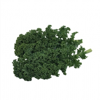 羽衣甘藍新鮮果蔬健身輕食榨汁kale綠色蔬菜沙拉火鍋西餐食材批發(fā)銷售