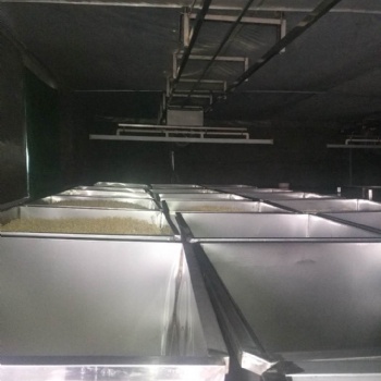 山西跑道淋水豆芽生產(chǎn)線設(shè)備廠家