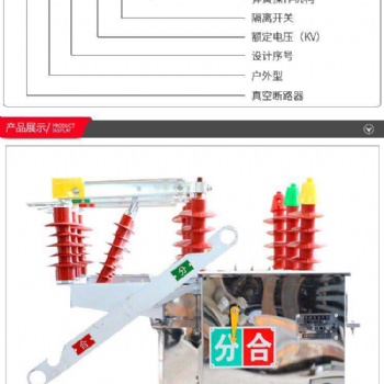 ZW8柱上真空斷路器 智能分界開關(guān)帶隔離 廠家**