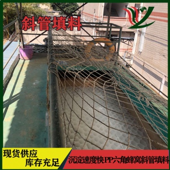 廠家** pp塑料斜板填料 氧化池組合填料水處理六角蜂窩填料