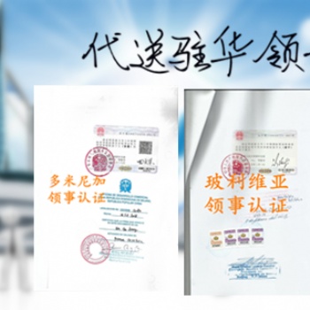 埃及領事簽章出口登記表|委托聲明