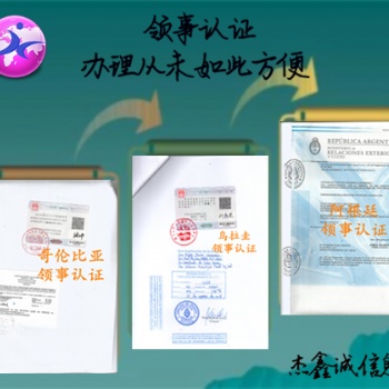 盧森堡大使館派遣信/存款證明公證書/單身公證書加簽
