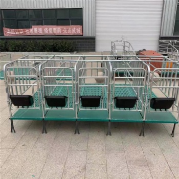 廠家直批母豬定位欄 熱鍍鋅管限位欄 豬用落地式定位欄