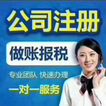公司注冊(cè) 審計(jì) 會(huì)計(jì) 工商年檢 登報(bào)掛失