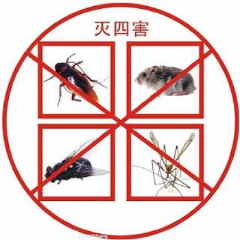 福州除蟲除蟻滅鼠消毒服務(wù)