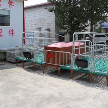 熱鍍鋅 養(yǎng)豬設(shè)備雙體保育床母豬產(chǎn)保兩用 母豬產(chǎn)床