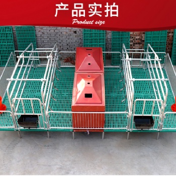 加厚養(yǎng)殖用母豬產(chǎn)床 雙體全復(fù)合板母豬產(chǎn)床