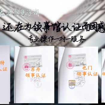 客戶要求辦理肯尼亞領事蓋章&資產負債表肯尼亞領事蓋章 **的