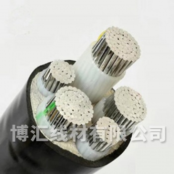 交聯聚乙烯絕緣電力電纜 博匯線材