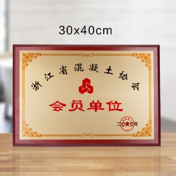 會(huì)員單位紀(jì)念品 送給合作伙伴獎(jiǎng)牌 授權(quán)牌制作