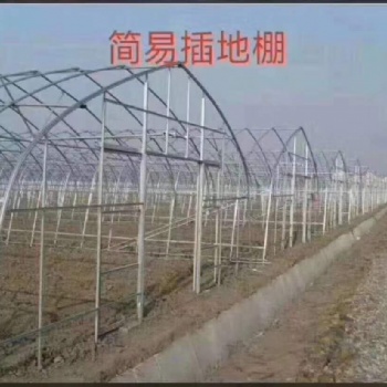 天津市鑫駿通達(dá)連棟大棚