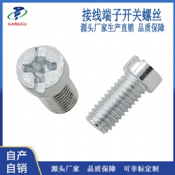 源頭廠家生產(chǎn) M5機(jī)牙螺釘 十一字圓柱頭接觸器端子開關(guān)插座螺絲
