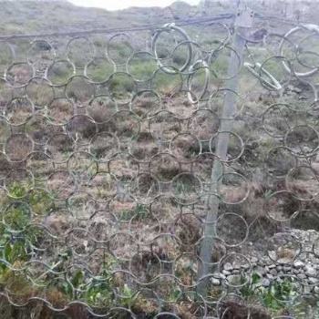 山西礦山邊坡防護柔性被動網環形網RXI-100實體廠家