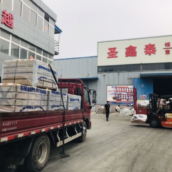 原裝進口GN品牌ROV卸扣