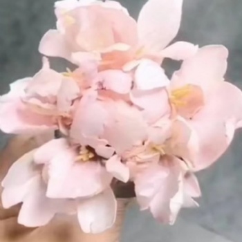 南陽(yáng)蛋糕學(xué)校南陽(yáng)韓式裱花培訓(xùn)翻糖蛋糕培訓(xùn)