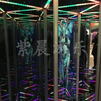 紫晨游樂設(shè)備鏡子迷宮