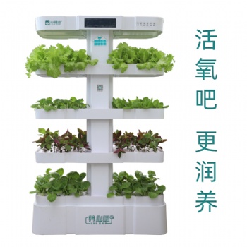 智能家庭種菜機(jī)室內(nèi)水培蔬菜培育設(shè)備陽(yáng)臺(tái)種菜機(jī)無(wú)土栽培高鈣養(yǎng)心菜心福地養(yǎng)心吧