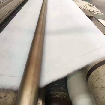 現貨供應長絲土工布護坡加固園林綠化項目白色長絲土工布